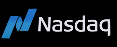 Partner Logo 4